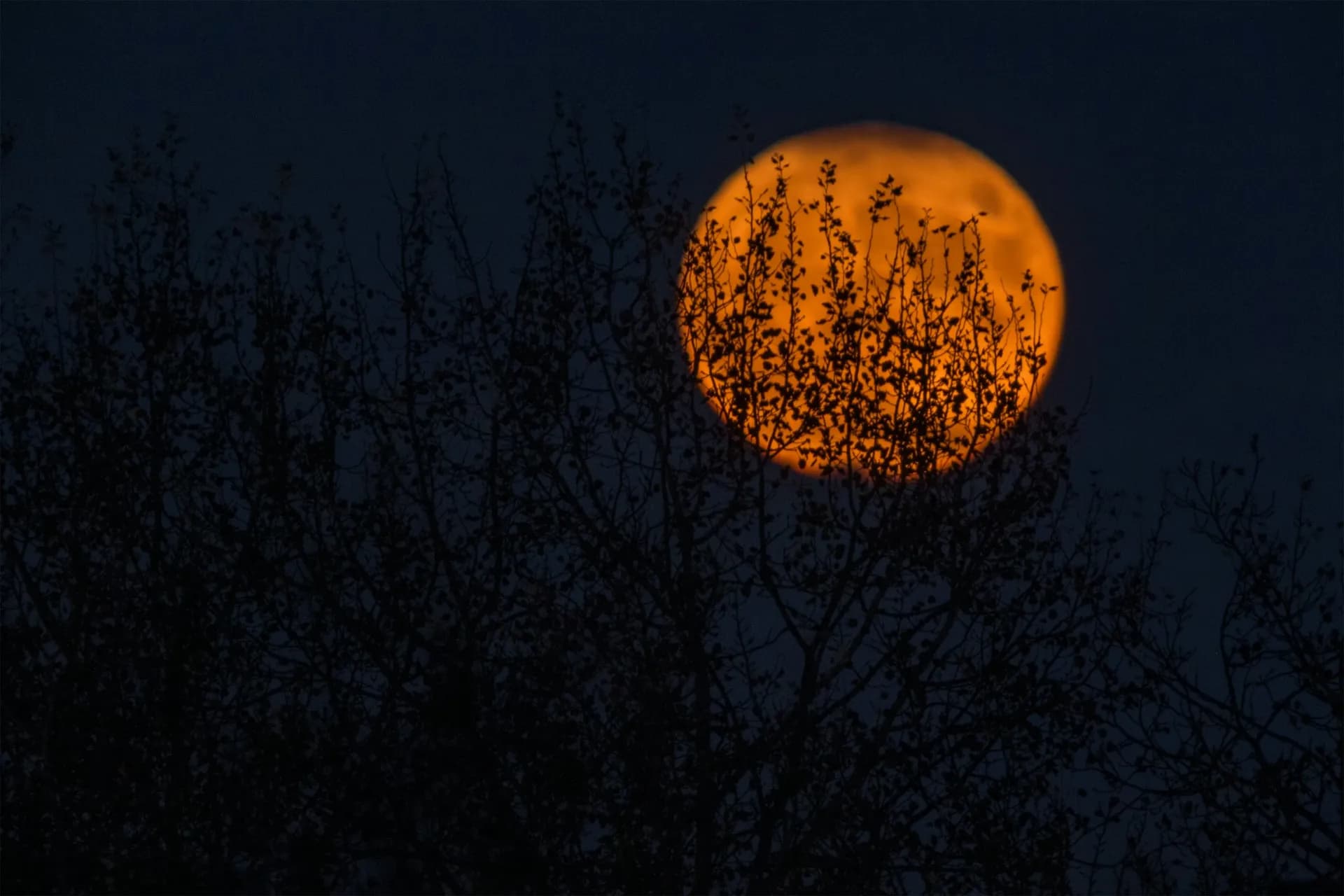 Top 13 Things That Go Bump in the Night - An Engineer's Perspective